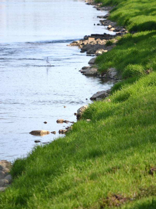 MUSWELLBROOK RIVERSIDE BANNER